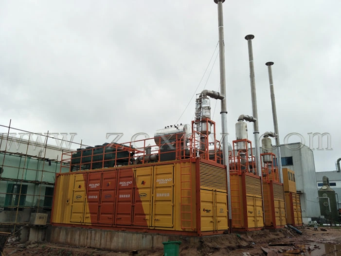 Chicken Waste Cow Waste Biogas Generator 100kw 200kw 500kw 1000kw 1MW