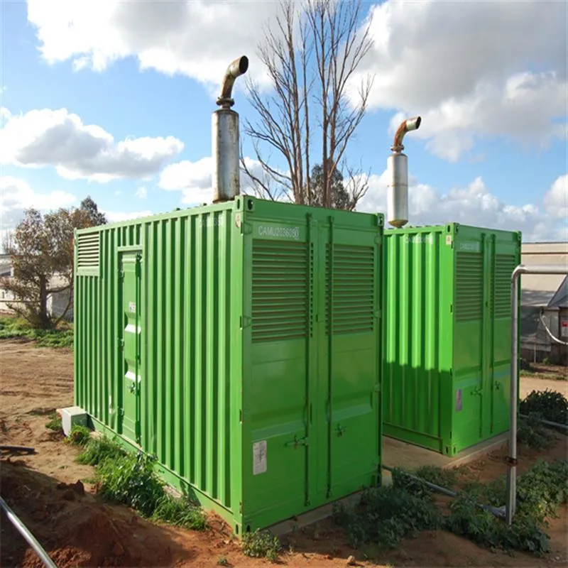 Biogas Generator/Generating Set Co-Generation Unit Power Plant