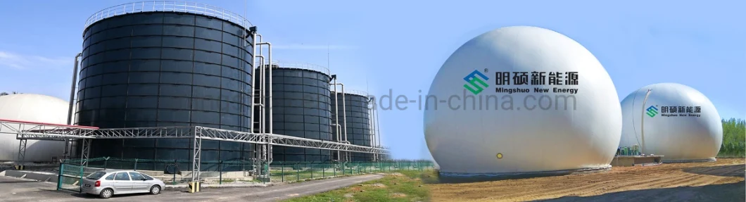 Membrane Biogas Storage Gas Dome Holder for Anaerobic Digester