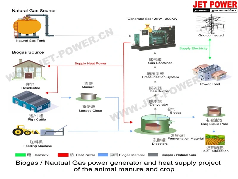 Ng Generator 15kw-80kw Home Biogas Household Biogas Plant Generator
