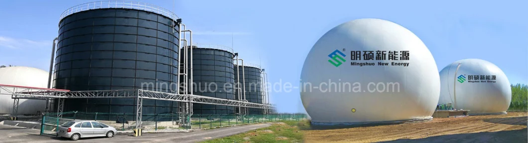 Cstr Biogas Project Anaerobic Digestion Steel Tank Reactor