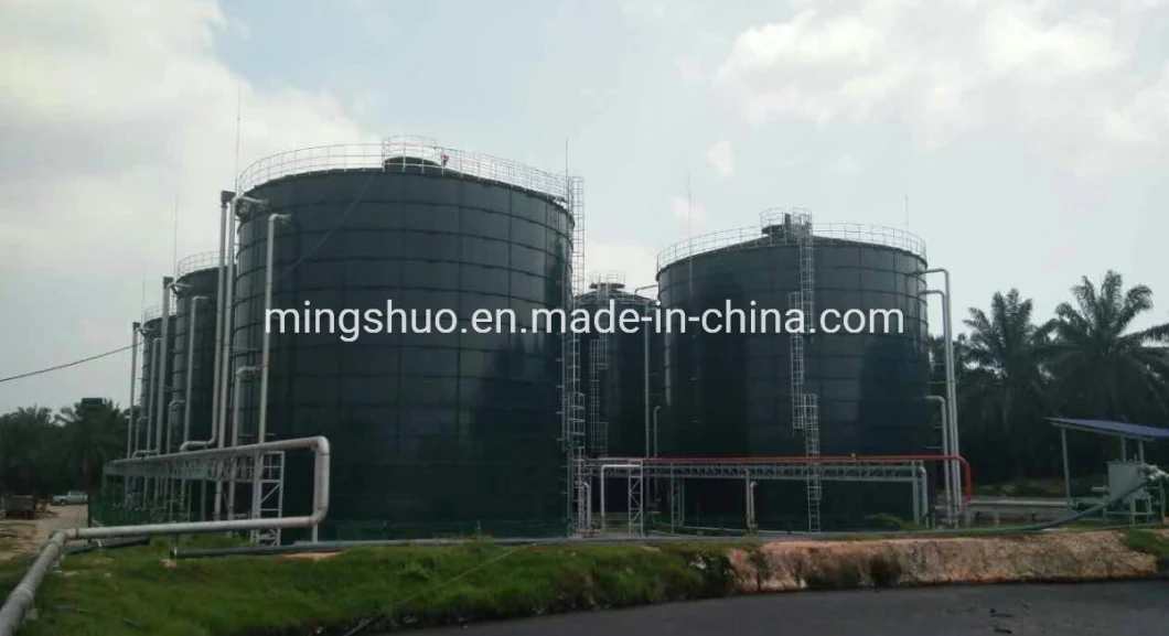 Pig Farm Wastewater Treatment Bioreactor Biogas Plant