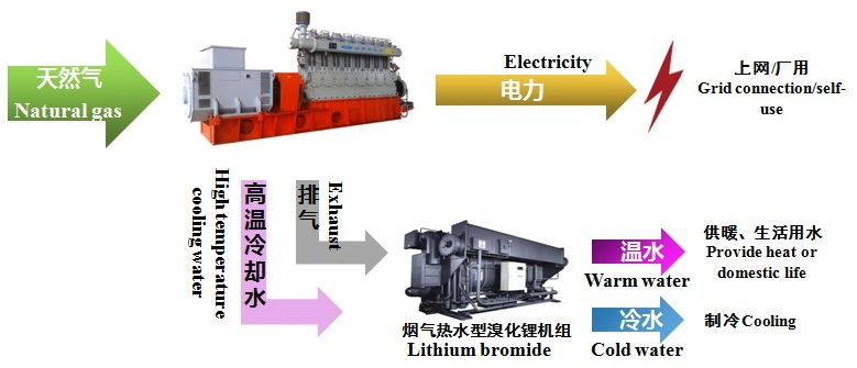 Chicken Waste Cow Waste Biogas Generator 100kw 200kw 500kw 1000kw 1MW