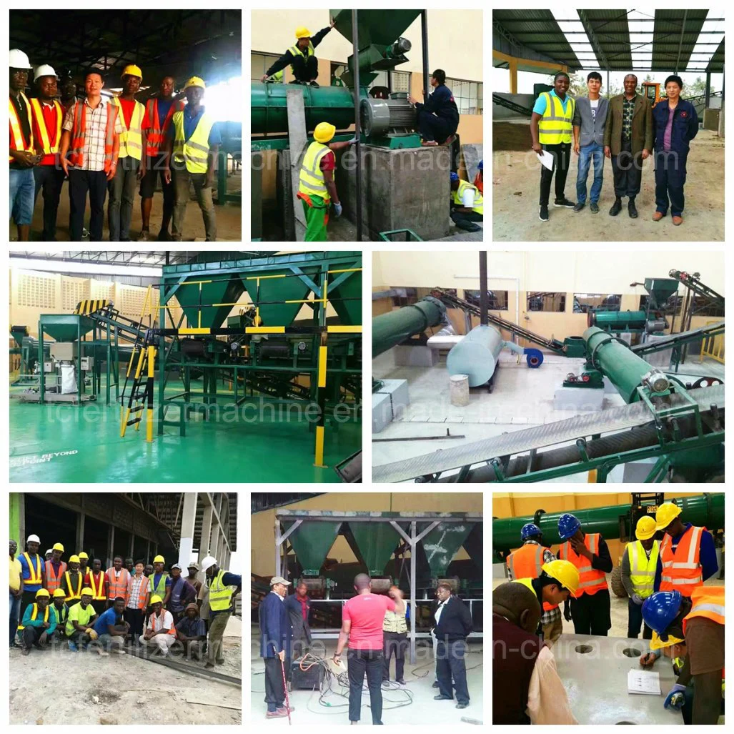 Animal Manure Animal Waste Organic Fertilizer Granulation Production Line