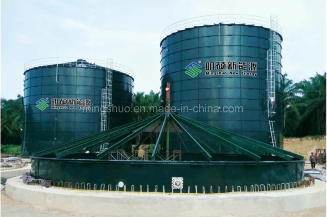 Assembled Steel Anaerobic Digestion Biogas Bioreactor for Slaughterhouse Waste