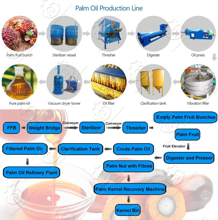 Palm Oil Machine Digester Filter Processing Nigeria Malaysia