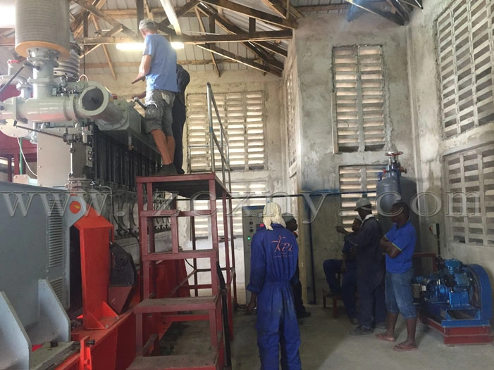 100kw 300kw Biogas Generator Use for Biogas Plant