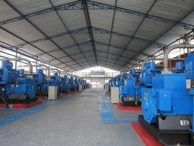 Landfill Gas/Natural Gas/Oil Field Gas/Biogas Generator Set with Capacity 260kw-600kw/1000rpm
