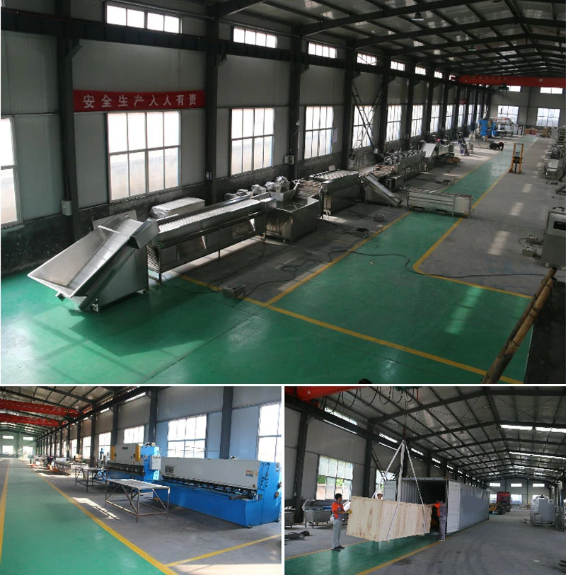 Customized Fruit and Vegetable Dehydration and Drying Machines