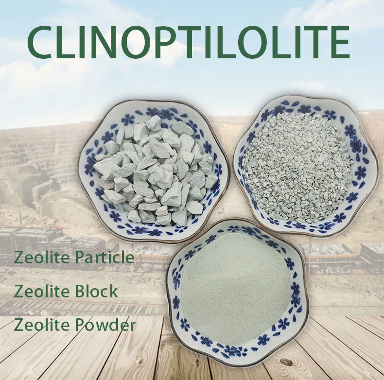 Natural Silver Zeolite Stone Zeolite Molecular Sieve