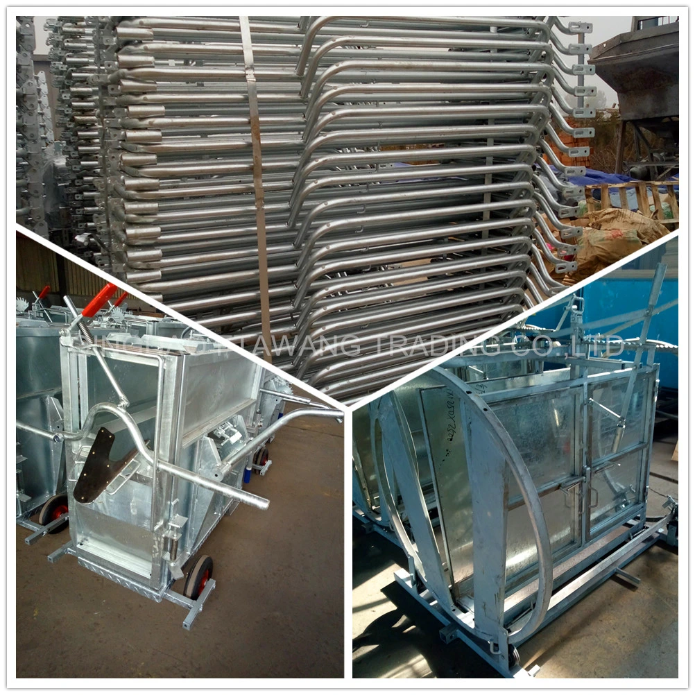 Strong Galvanized Pig Fattening Crate Pig Equipment
