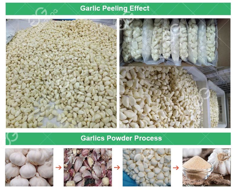 Gelgoog Small Automatic Onion Garlic Dehydration Powder Plant Ginger Onion Garlic Powder Making Machine