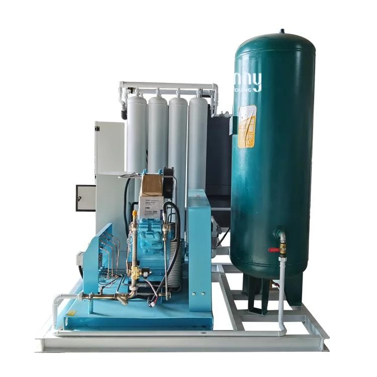 5nm3/H Filling 150bar Bottle Per Hour Psa Gas Generator Psa Oxygen Generator