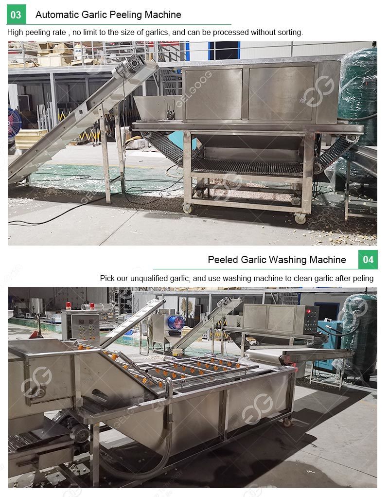 Gelgoog Small Automatic Onion Garlic Dehydration Powder Plant Ginger Onion Garlic Powder Making Machine