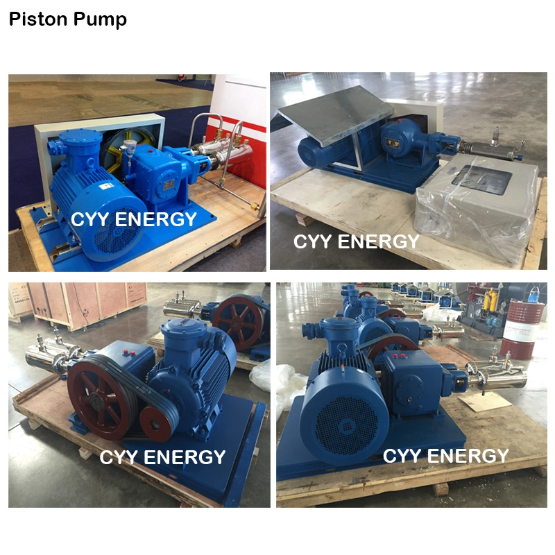 Uninterrupted Service Large Flow and High Pressure LNG Liquid Oxygen Nitrogen Argon Multiseriate Piston Pump
