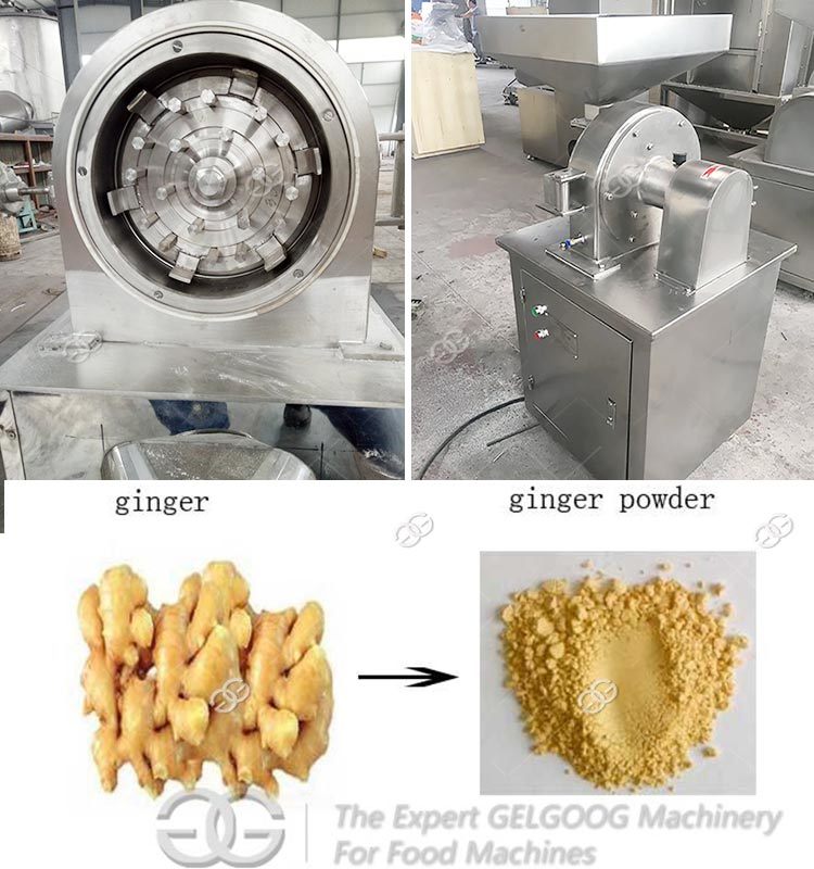 Gelgoog Small Automatic Onion Garlic Dehydration Powder Plant Ginger Onion Garlic Powder Making Machine