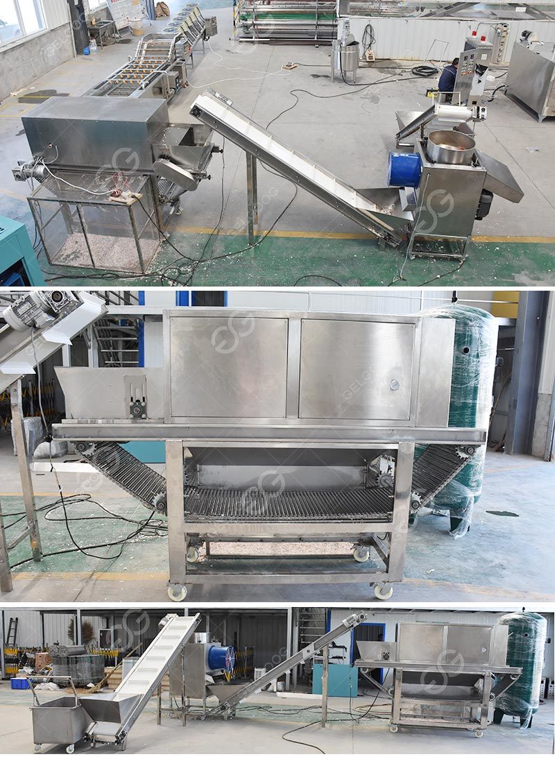 Gelgoog Small Automatic Onion Garlic Dehydration Powder Plant Ginger Onion Garlic Powder Making Machine