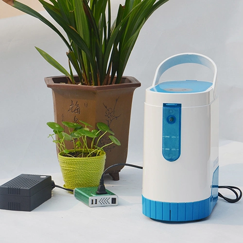 Portable Molecular Sieve Oxygen Concentrator for The Treatment of Patients with Copd