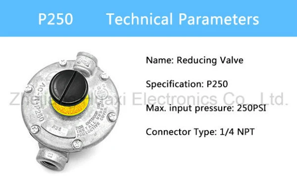 P250 Gas Pressure Regulator Gas Meter for Natural Gas