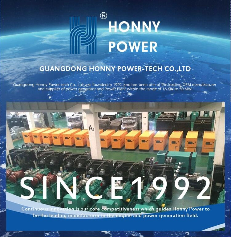 Honny Power Dual Fuel Generators with 30% Diesel Fuel, 70% Nature Gas