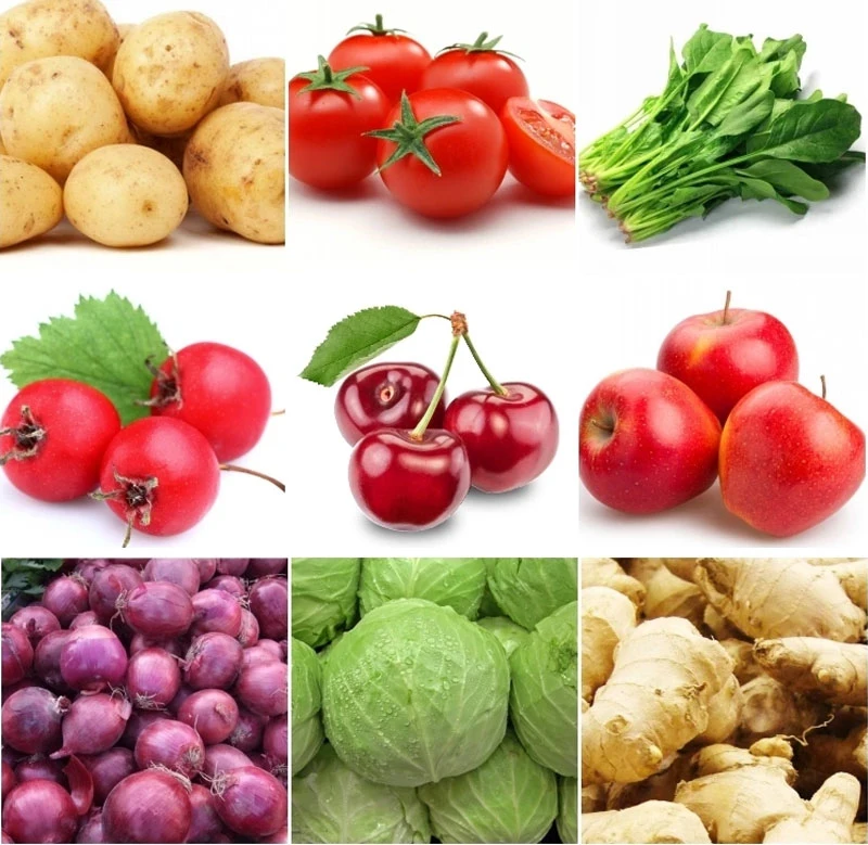 Customized Fruit and Vegetable Dehydration and Drying Machines