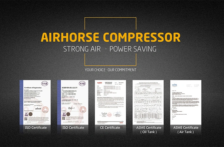 8 Bar V Belt Portable Rotary Screw Air Compressor for Natural Gas Compressor