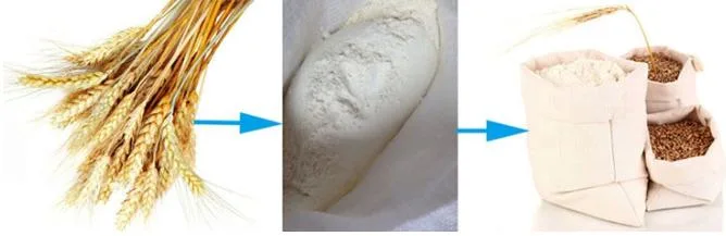 Mini Roller Flour Mill Plant/Flour Mill Grinder/Flour Mill Plant Manufacturers
