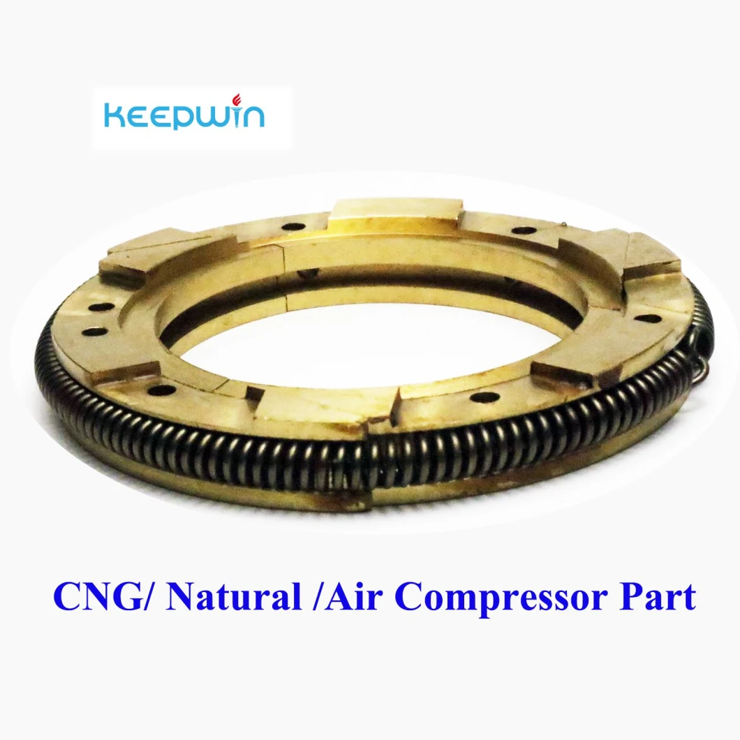 Suction Valve Discharge Valve for CNG Gas Compressor