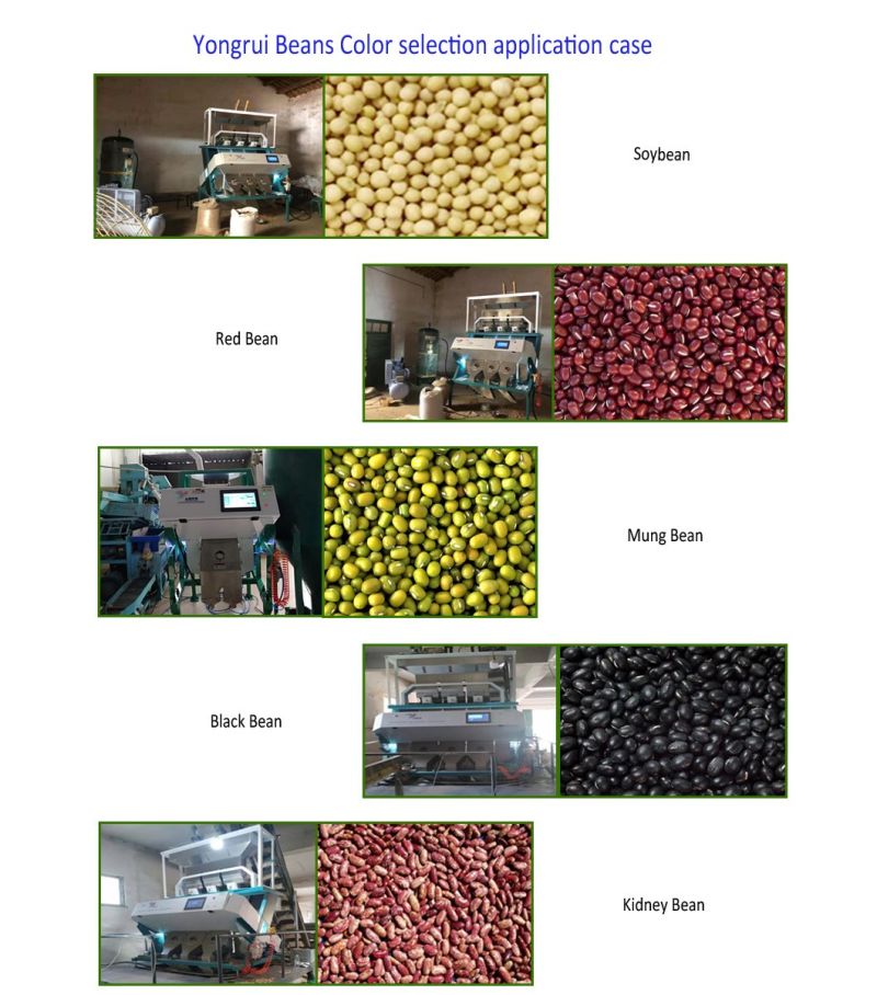 Mini Small Red Beans, Black Beans, Green Beans, Soybeans, Lentils, Kidney Beans, Chickpeas Color Sorter Machine