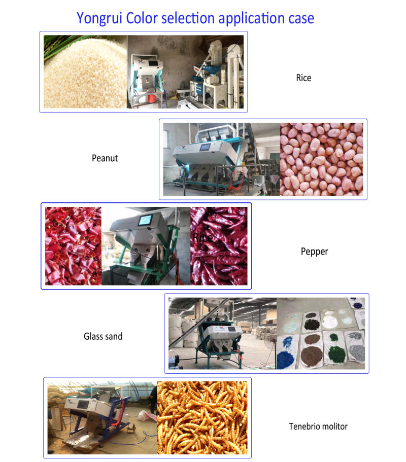 China Rice Color Sorter Machine for Black Rice, Brown Rice, Thailand Rice, Millet