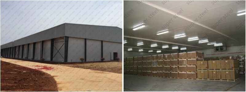 Hot Sale Cold Room for Potato and Vegetables