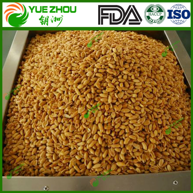 Healthy Spicy Roasted Peanuts Shandong Manufacturers
