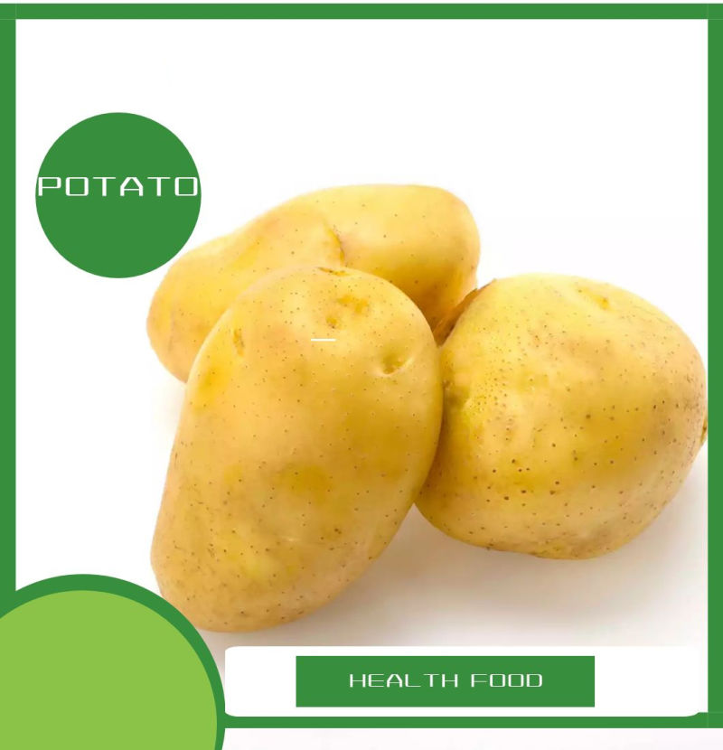 Yellow Color Fresh Potato in 2kg Carton Package