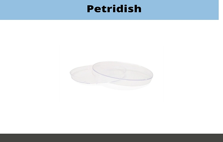 Laboratory Disposable PS Plastic /Glass Sterile Petri Dishes 13 15 and 20mm