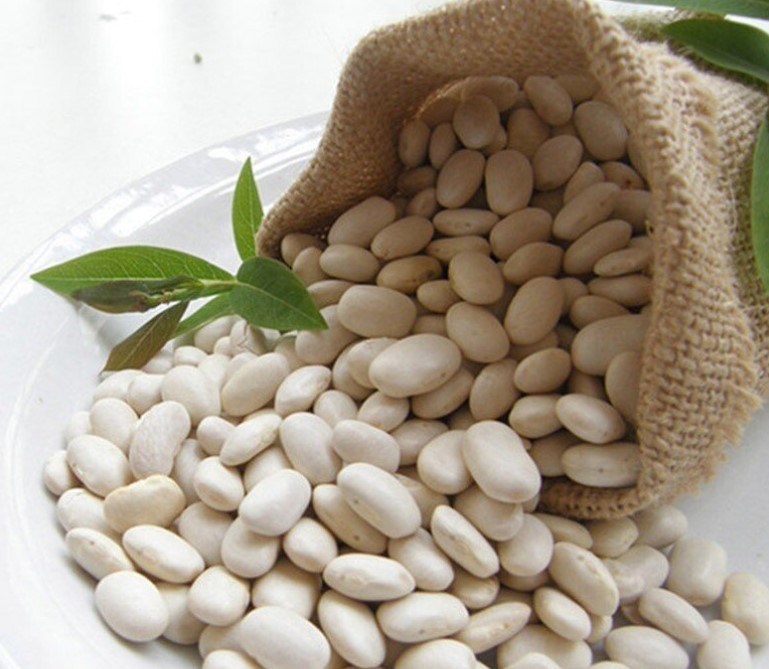 Best White Kidney Bean P. E. /Lose Weight/White Kidney Bean Extract
