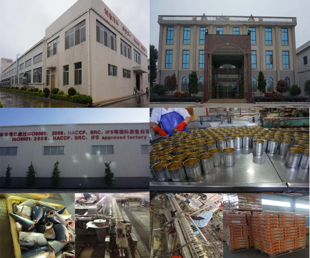 260g OEM Low Fat Sweet Potato Thick Vermicelli Pasta Hot Pot Wide Noodles Individual Package Vermicelli