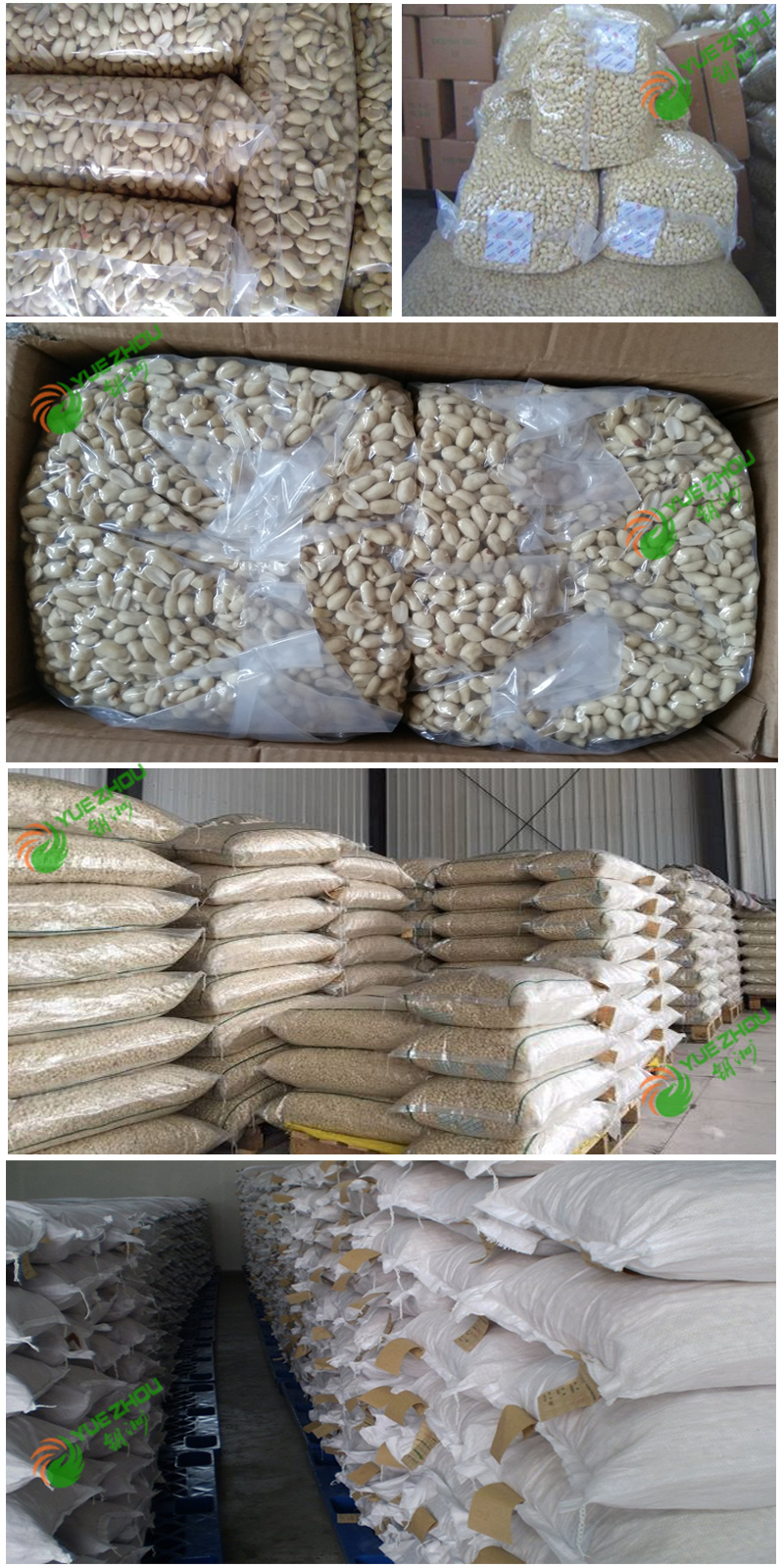 China Fried Spicy Peanut Kernels with 2020 New Crop