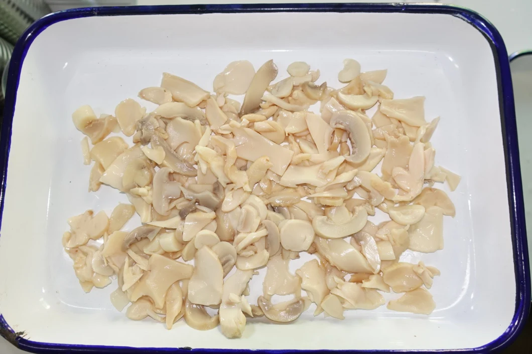 Canned Mixed Mushroom 30% Oyster Mushroom+Champignon Sliced