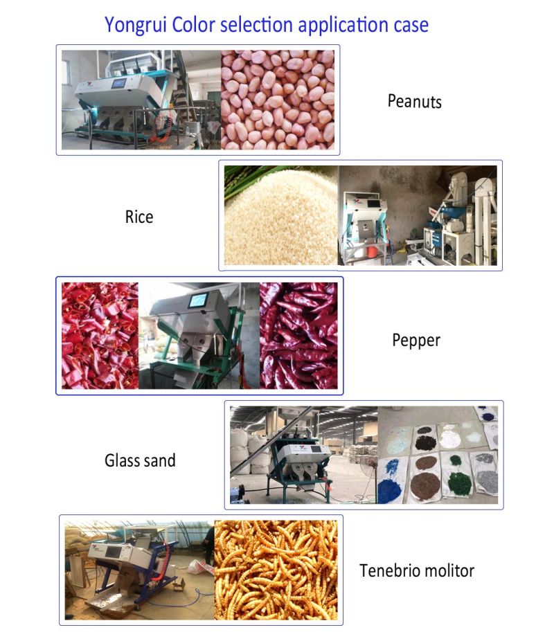 New Design CCD Red Beans, Black Beans, Green Beans, Soybeans, Lentils, Kidney Beans, Chickpeas Color Sorter Machine