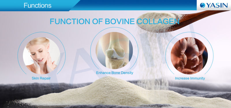 Buy Bovine Collagen Protein Powder on Beef Protein for Hair Care Protein Treatment