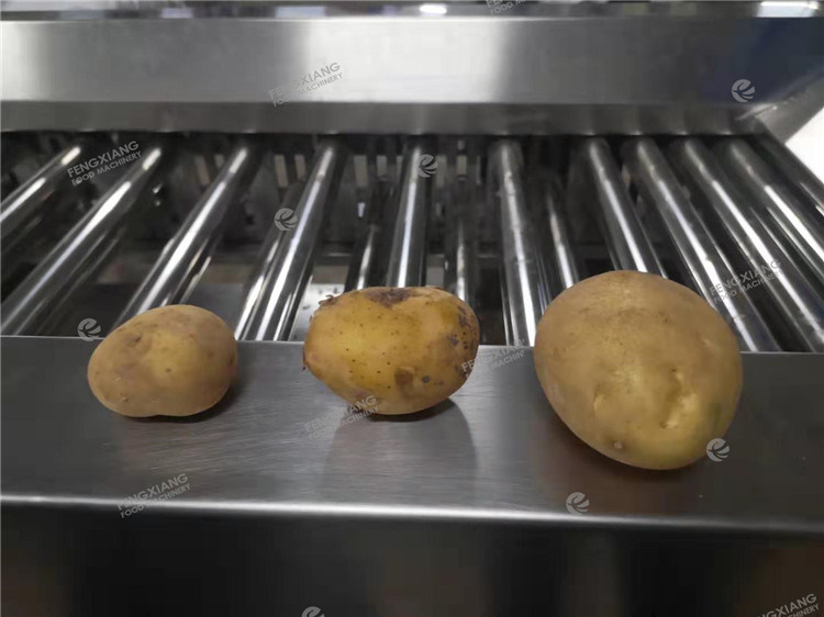 Og-606 Potato Grading Machine Potato Size Sorting Machine Eggplant Grading Machine