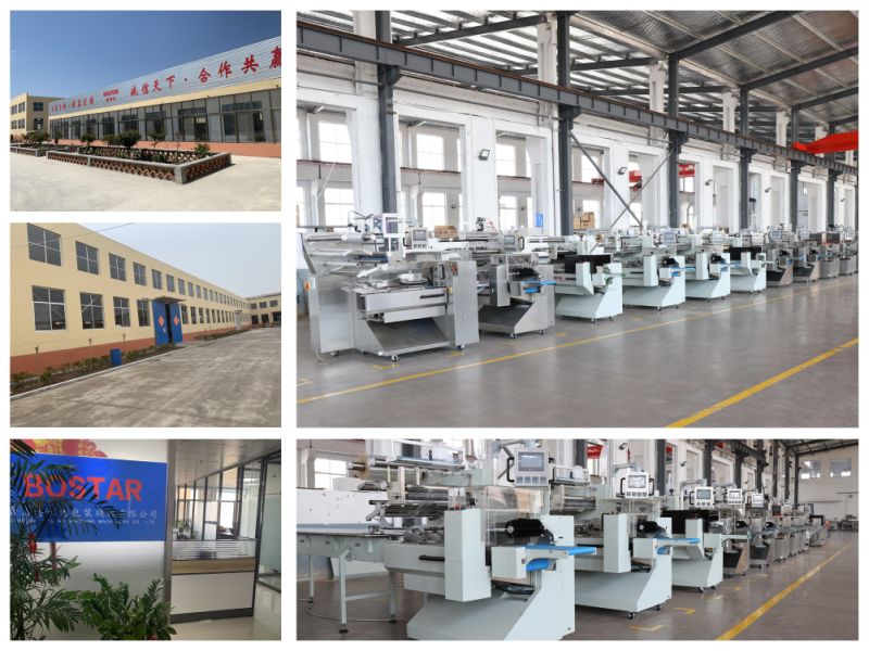Plain Instant Noodle Block Asian Ramen Noodles Automatic Horizontal Pillow Flow Wrappers Packing Packaging Wrapping Filling Sealing Machine with Servo Motor