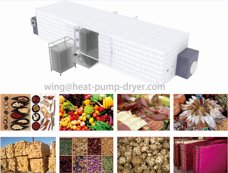 Dehydrator for Names of All Dry Vegetable/ Carrot/ Tomato Drying Machine