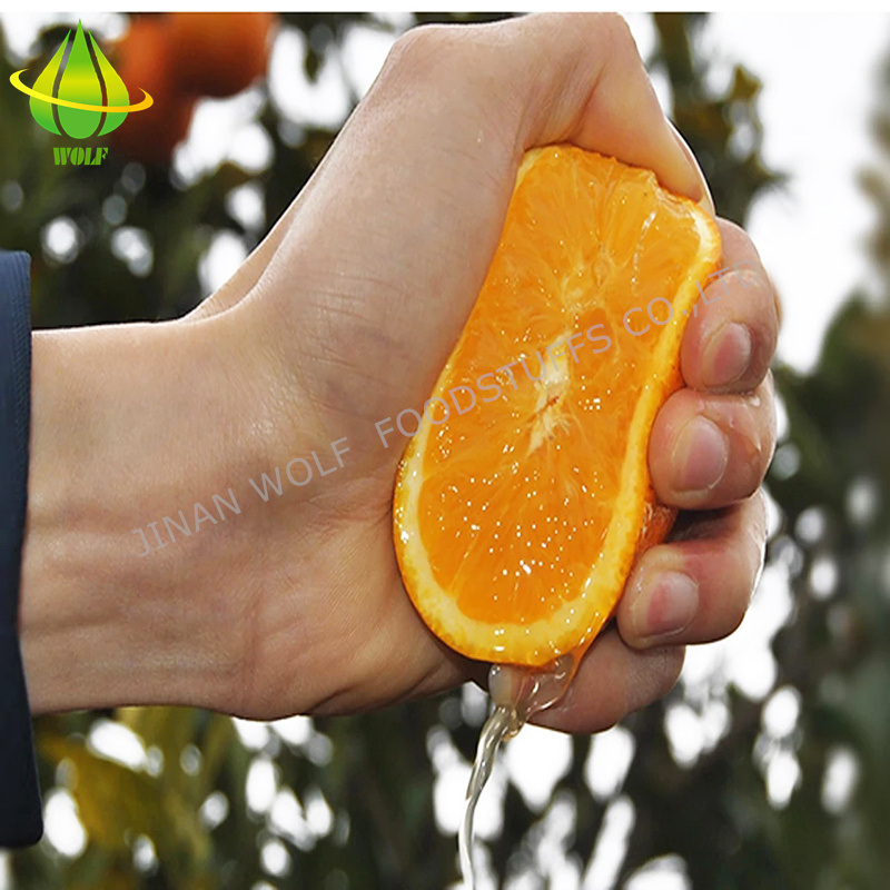 Premium Sweet and Sour Gannan Navel Orange