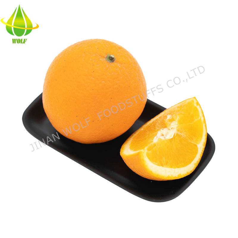 Newest Crop Sweet and Sour Gannan Navel Orange