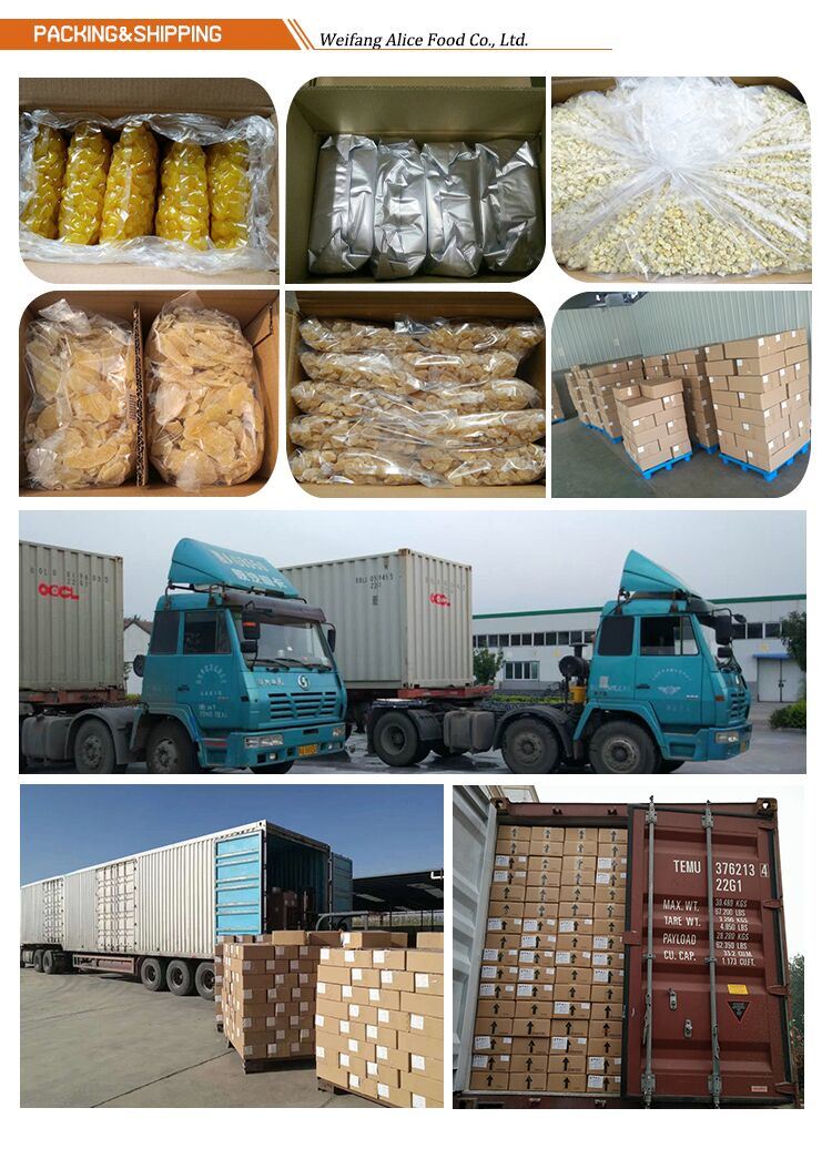 Bulk Packing for Dried Snacks Dried Foods Dried Cantaloupe