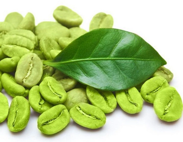 Wholesale Premium Agroculture Organic Dried Mung Bean Sprouts Mung Green Beans