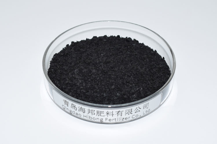 Seaweed Extract Fertilizer, Seaweed Extract Flake From Laminaria Japonica