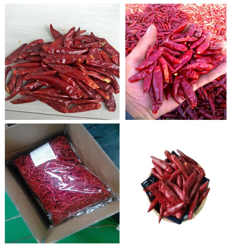 Chili Powder Chili Crushed Spicy BBQ Hot From China