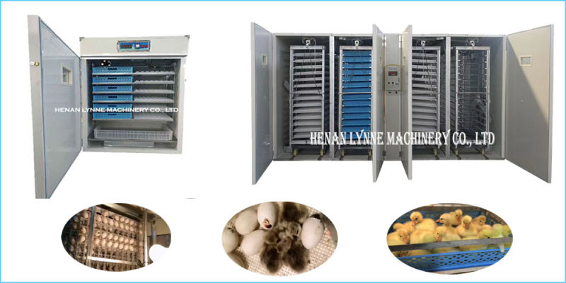 Industrial Commercial Digital Automatic Chicken Egg Incubator with Various Volume